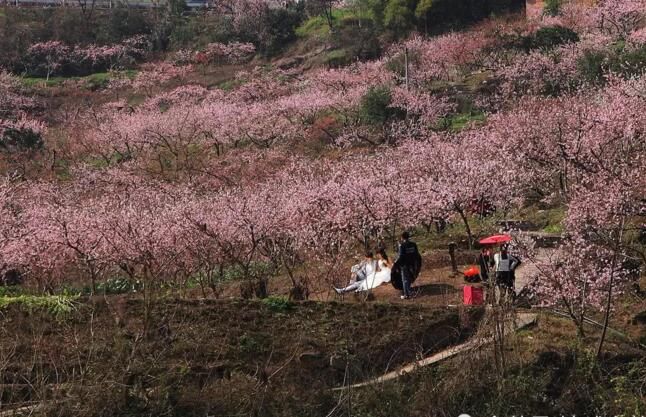 射雕里的桃花岛居然真的存在?浙江人真幸福!