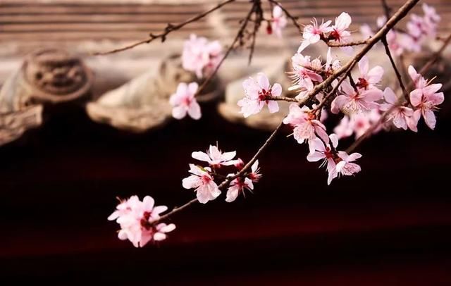 不负春光！陕西这座慢悠的古城，私藏了最美的诗意！