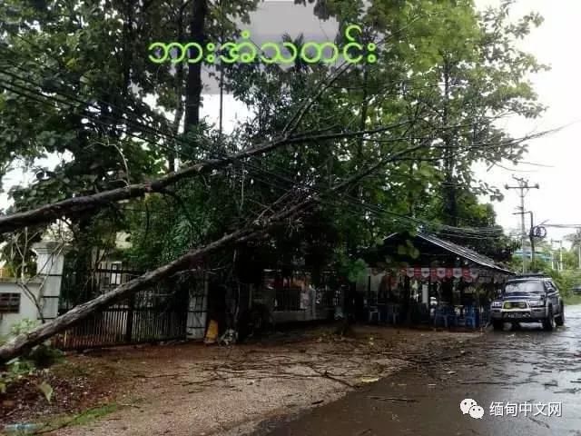 大风大雨太猛烈了！雨后的缅甸很受伤！