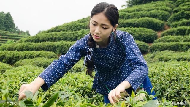 农村为什么有越来越多大龄剩女？