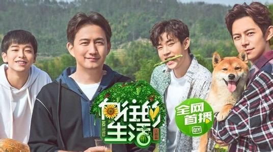 王迅、Angelababy、倪妮参加《向往的生活2》