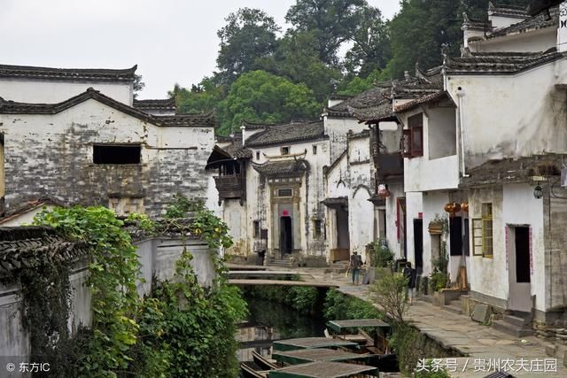 今年农村居住环境发生巨变，分散居住将不复存在，建房将统一规划