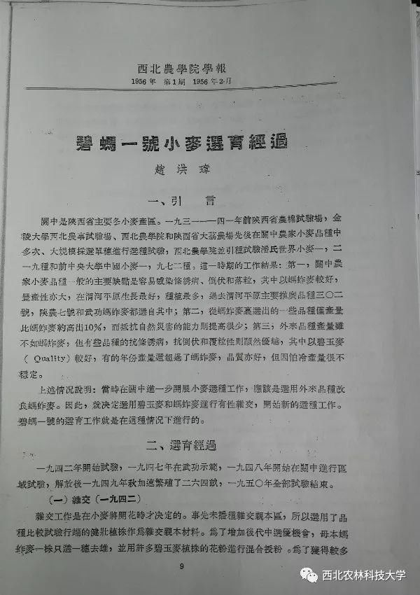 把饭碗端在中国人自己手里!年推广面积9000多万亩，数十年间他的