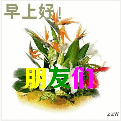 最漂亮早上好动态表情大全,早上好v动态语表情图片包胡图图片