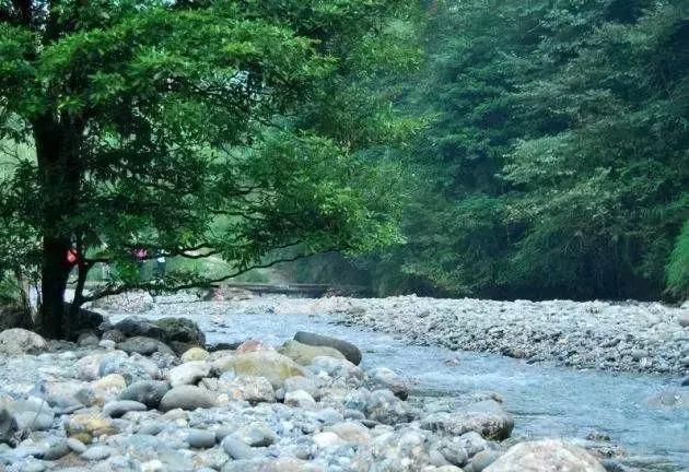 6月的成都最佳的旅行时间,去找一处清幽之处露