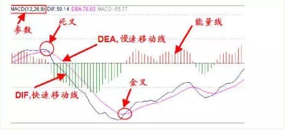 一旦“MACD+KDJ”双剑合璧，涨停无处可逃，不下一万次反复验证