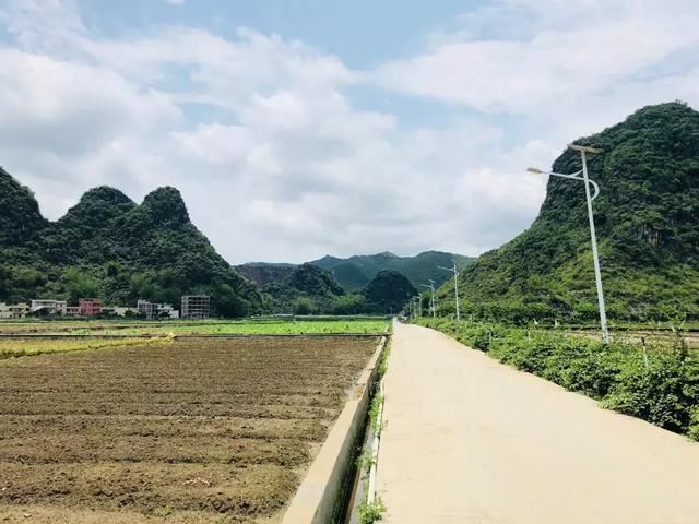 美美美美!广东罗定深藏着一个“世外桃源”般的田园~