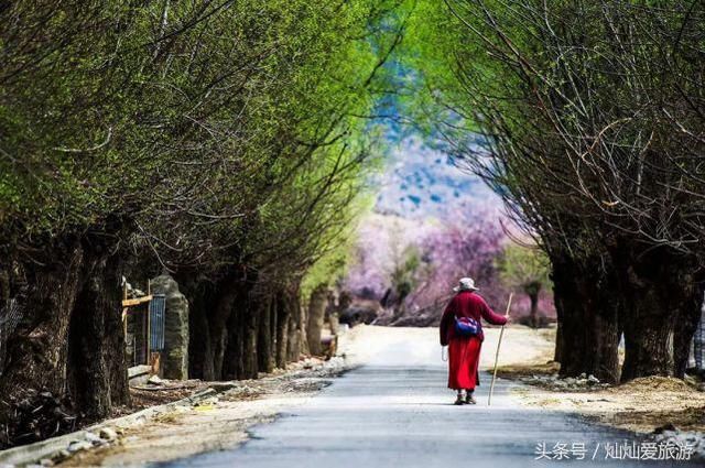 3月份最值得去的20个地方，全都美哭了，新春第场一旅行你去哪儿