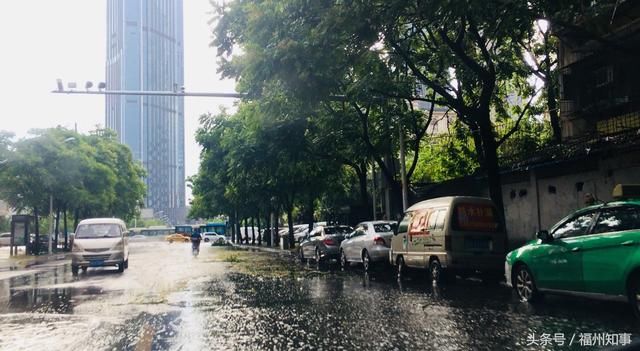 今天下午福州狂风暴雨，路边的大树成了重灾区