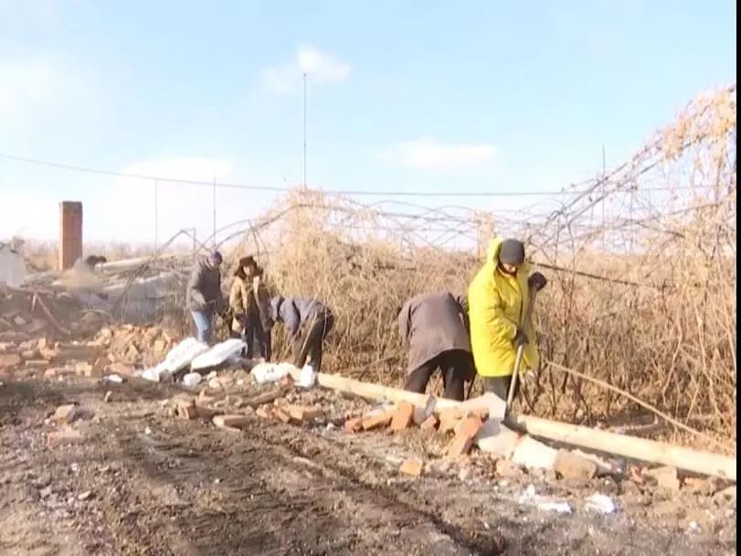 黑龙江大棚房 清理整治在行动!