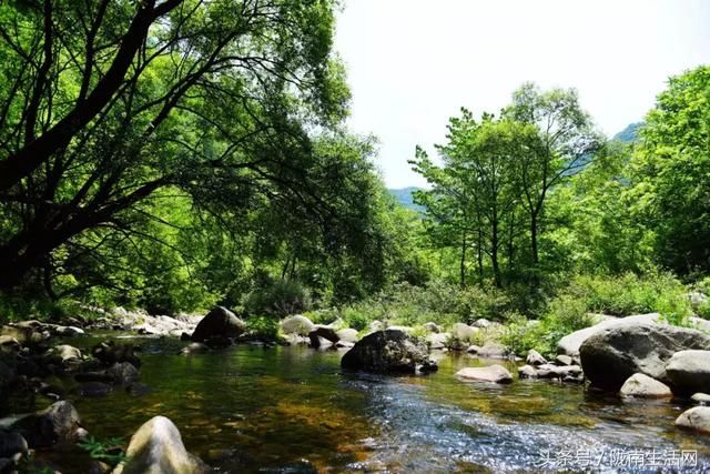 这个夏天，来甘肃徽县龙潭坝寻觅一片诗意山水