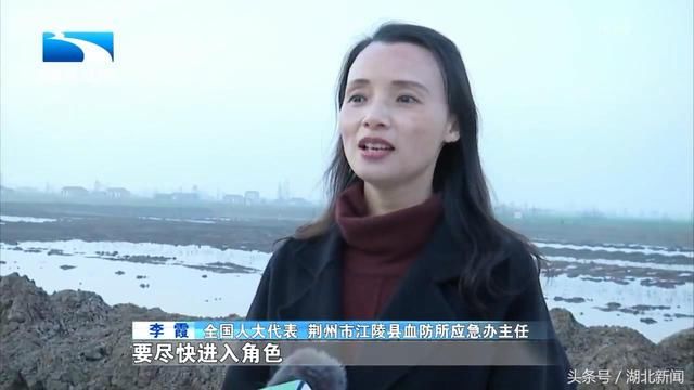 李霞：希望国家支持荆州江陵建成国家区域性交通物流枢纽