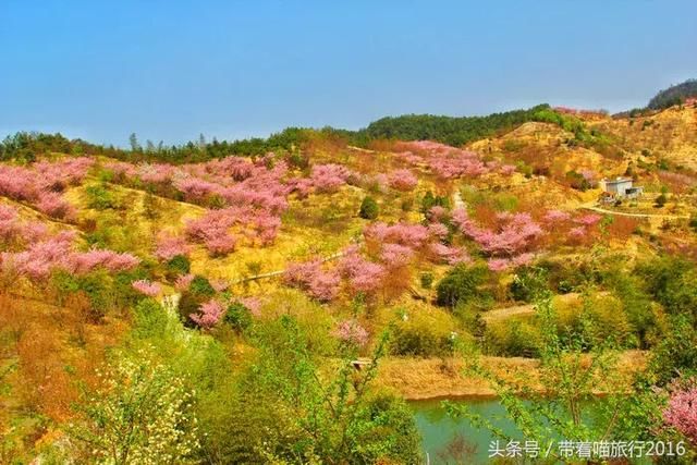 林业厅评出浙江100个最美赏花胜地，宁波只有这7个