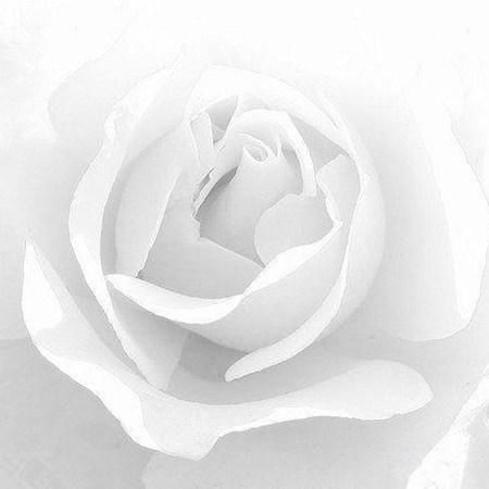 如何用“明暗”打造出独一无二的摄影作品?