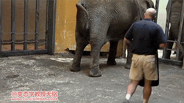 你看那有个摄像机,前面我抽你的那一巴掌是开玩笑的,这是个整蛊节目