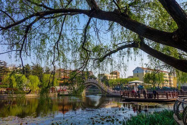 青岛这个公园颜值高：柳湖绿如蓝 碧水秀春色