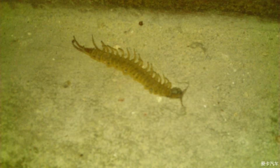 在不违反保密的前提下,和各位军事爱好者分享