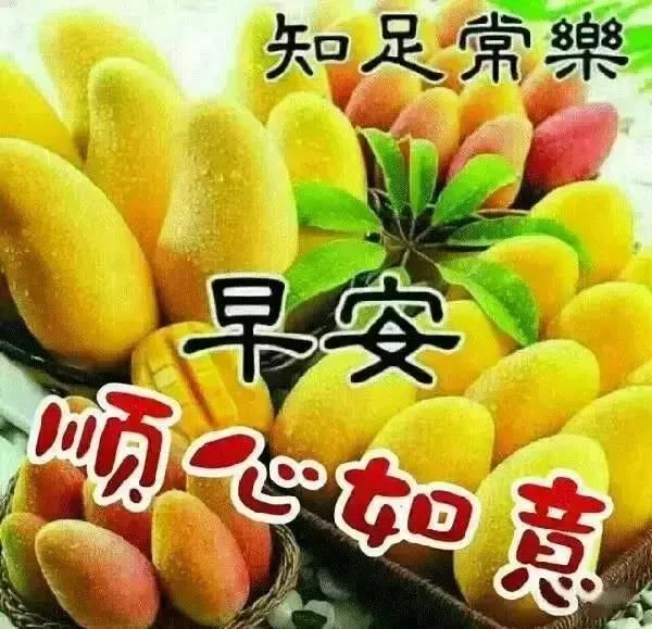 特别搞笑的早晨问候语顾客图片感谢问候带图漂亮图早安动态图片