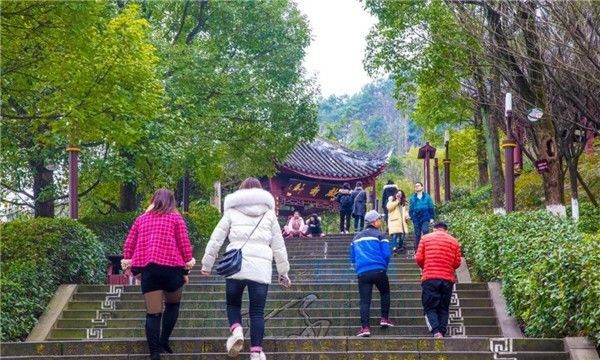 2019年最后一天迎新年