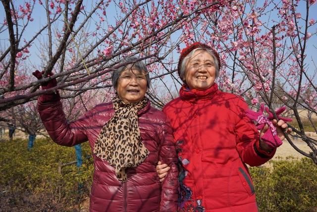 春节闲逛走拍洛阳百态之四：瀍河洛浦梅花艳，桥飞蛟龙丝路长