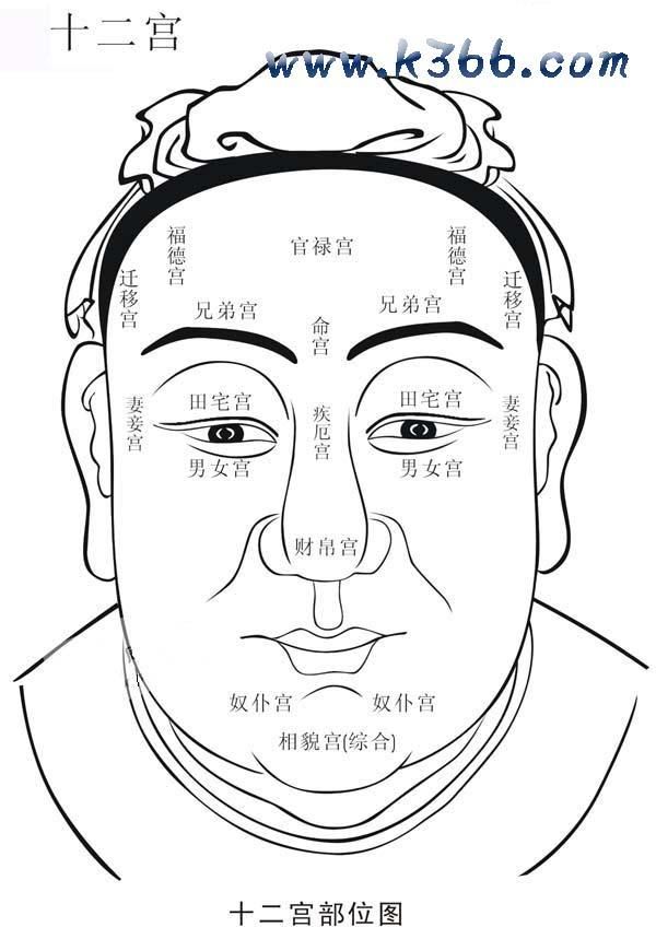 教你从发际线不规则的形状，来分析面相