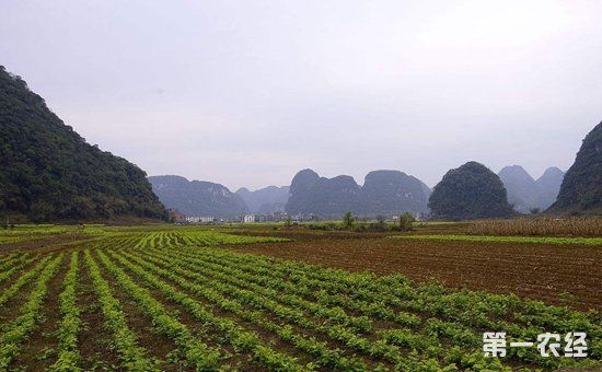 为什么农村土地不能种了？详解2018年国家农村土地规范方案