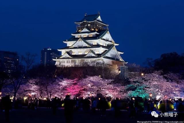 还在烦恼去哪看樱花?你绝对不可错过的9大赏樱圣地!
