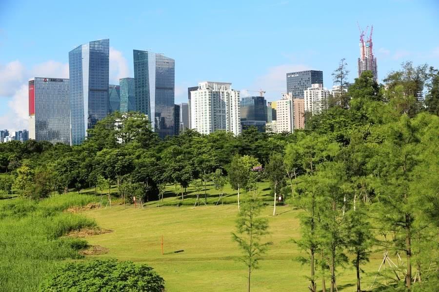 广东最大经济体的城市，地位与日俱增，GDP秒杀广州