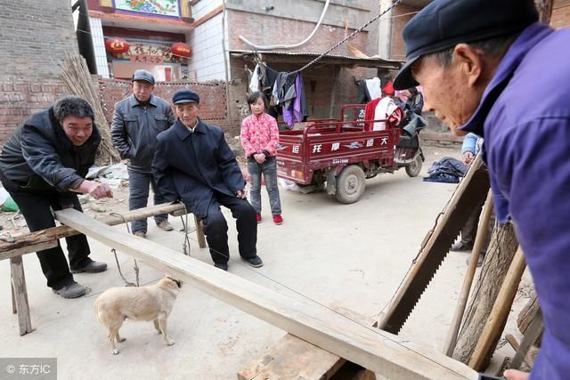 农村老人常说的，“生不睡柳，死不睡杨”！到底有什么讲究？