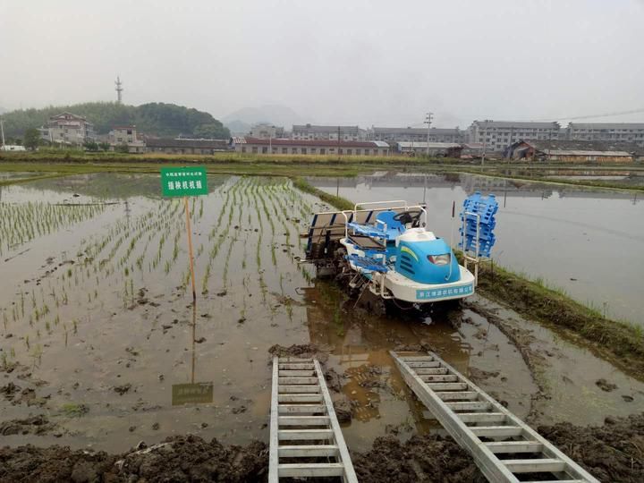 让农民不再只能围着土地转 看龙泉剑池街道如何助农增收？