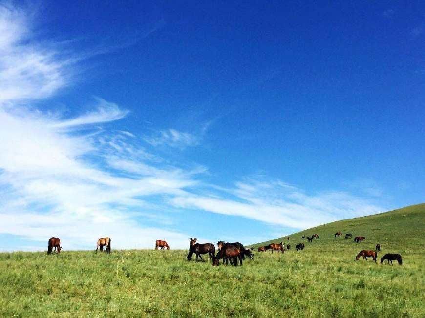 甘肃颇具潜力的城市，未来3年内，或将直逼天水和酒泉等城市