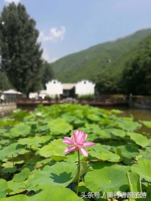 独家｜五一不涨价！人均200+，即可入住长城边儿上的荷塘月色！