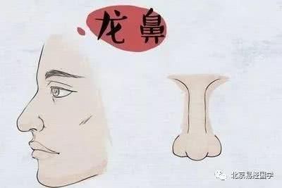 好鼻子坏鼻子 八一八最有福气的鼻相是哪种