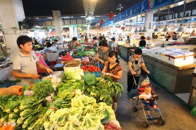 孩子写作文是不是应该从片段练习开始?