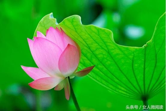 人不管几岁,必须记住的10句话