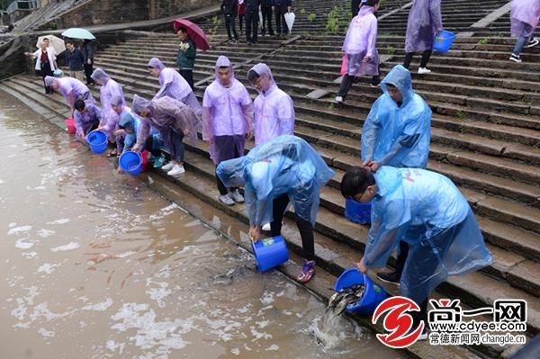 1090万尾鱼苗与5000只中华鳖幼鳖被放流沅江中