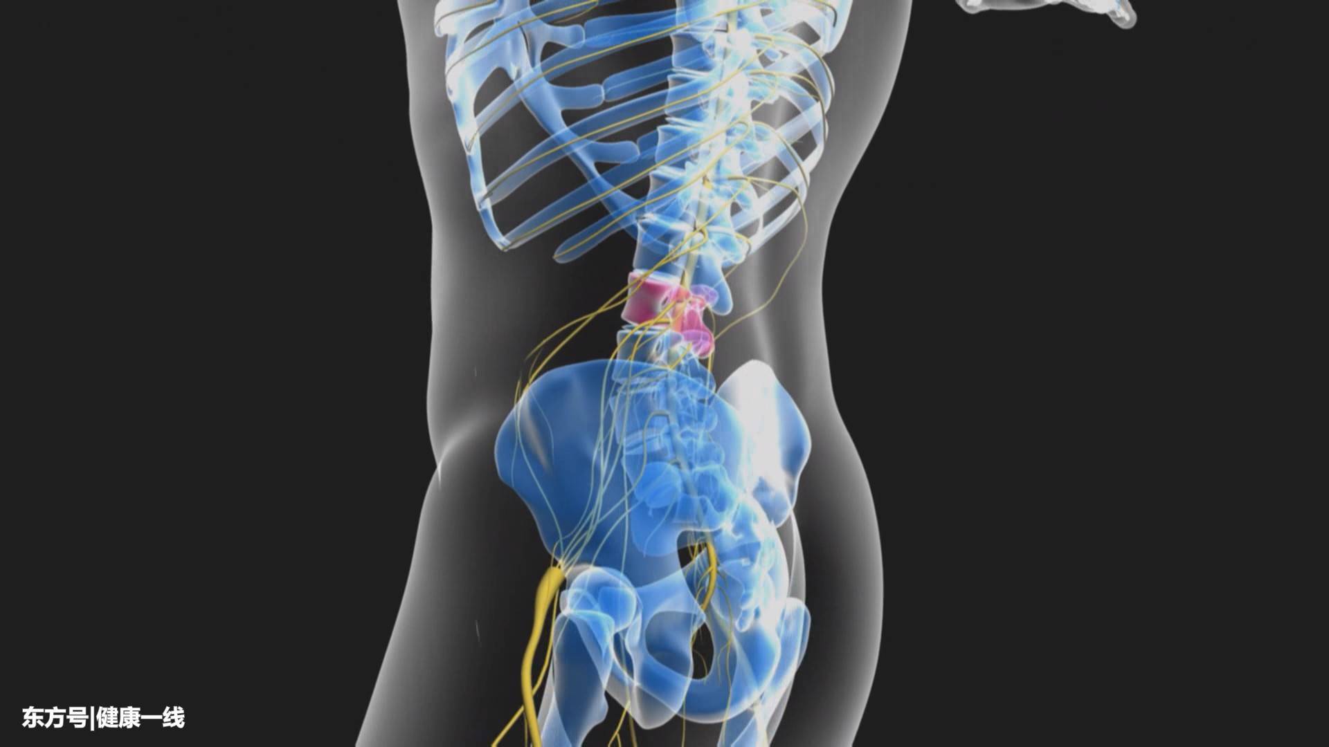 腰椎间盘突出的手术有微创开放性融合手术,患