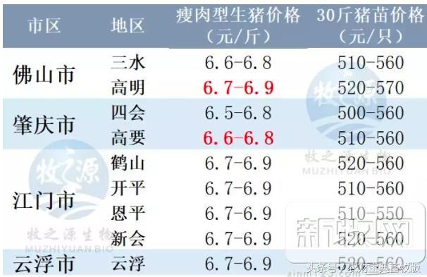 消费提升，猪价止跌回升！全国最新生猪报价