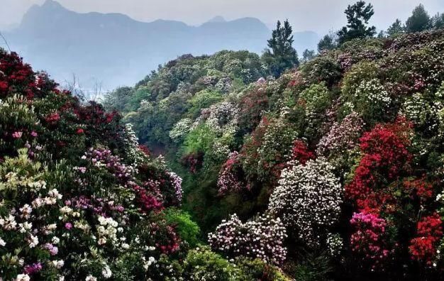 阳春三月，中国10个最美最值得去的旅游胜地，错过再等一年