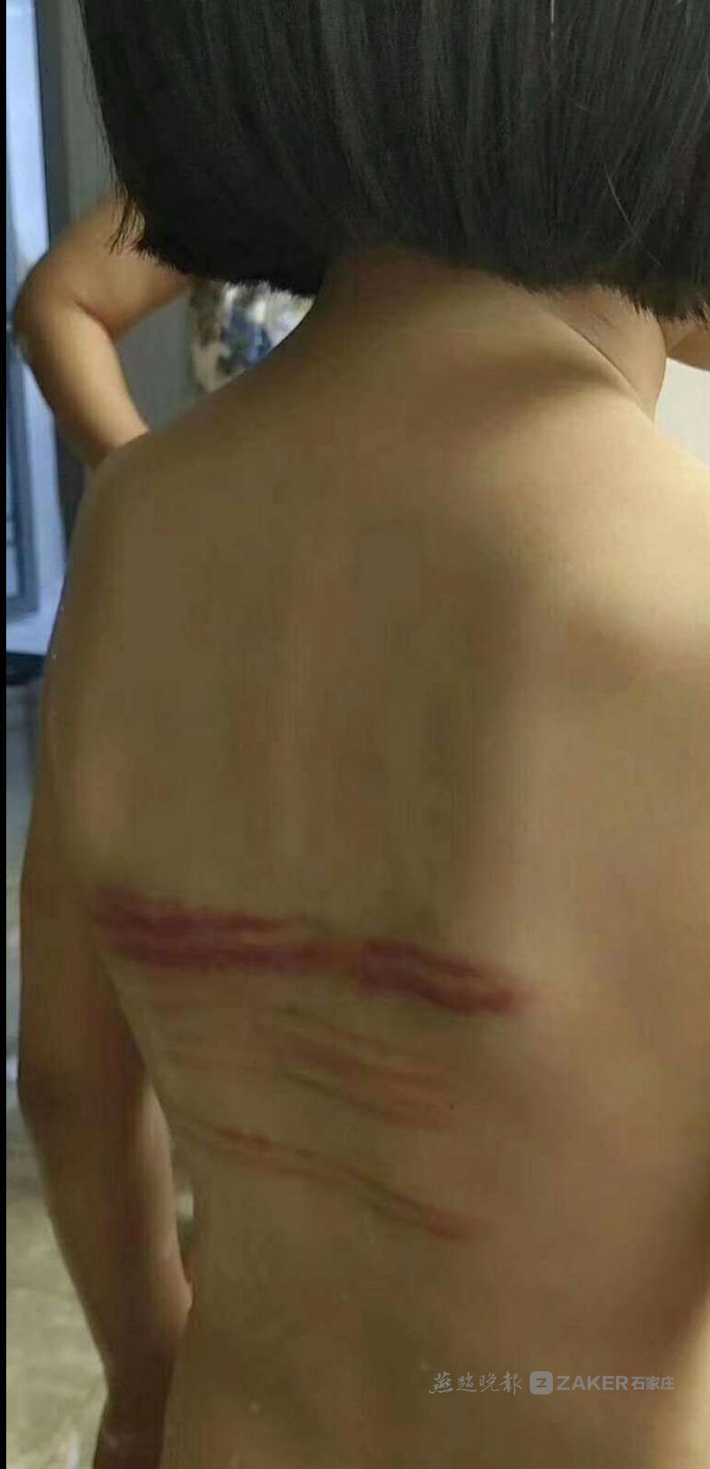 望都一名小学一家长女生被班主任打伤,年级理陶宏开小学生图片
