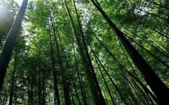 南京这些超适合一日游的地方,每一个都美如画!不看要后悔!