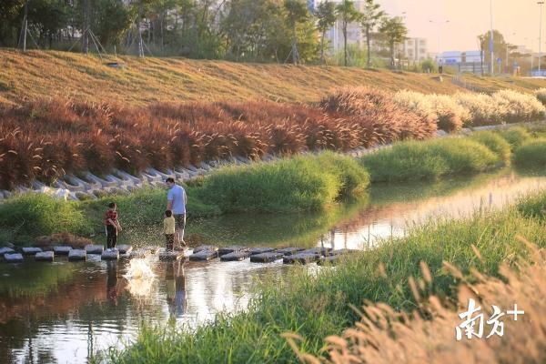 第七次党代会提出