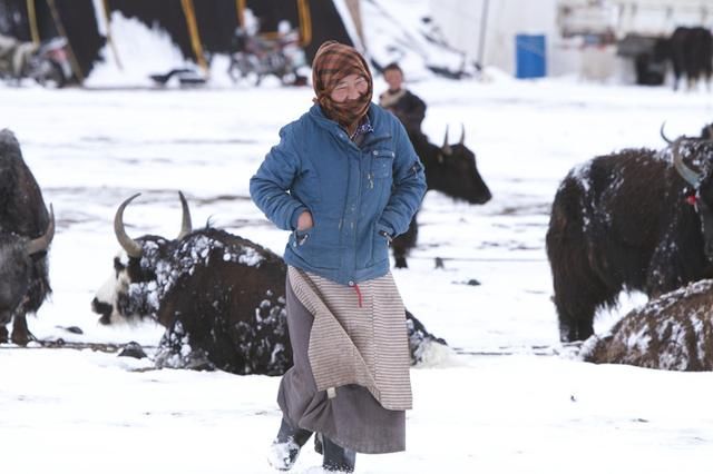 追着磕长头的脚步，走进眼睛的天堂