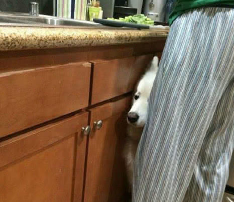 内涵段子:你见过秃头还有别的梳头方式吗?