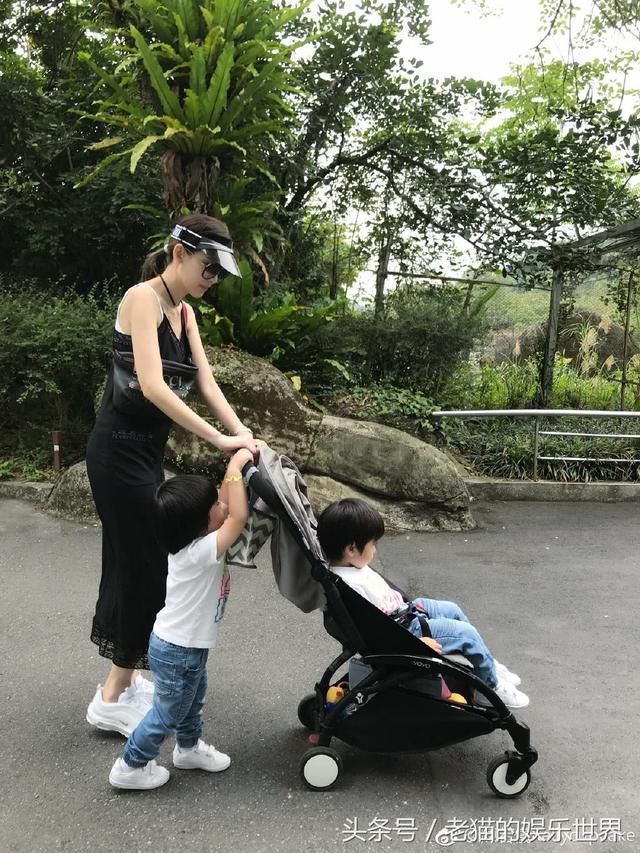 林志颖老婆陪儿子游动物园,网友竟在她的照片中发现了