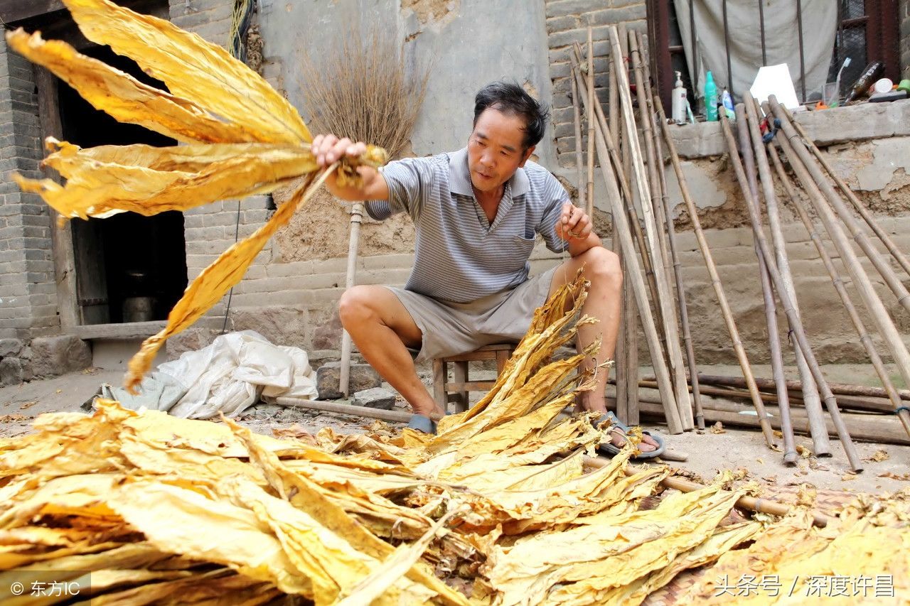 河南襄城县有个近400年的产业，闻名海内外，许昌的骄傲