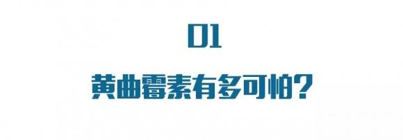 黄曲霉素是什么?它比砒霜毒百倍!你可能天天都