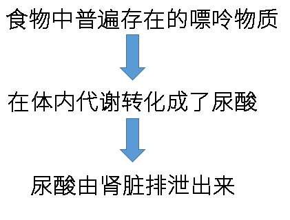 治痛风，你想知道的全在这里!