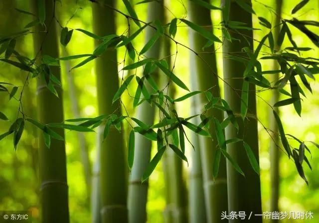 原创若有缘再相见,我不会让你走远
