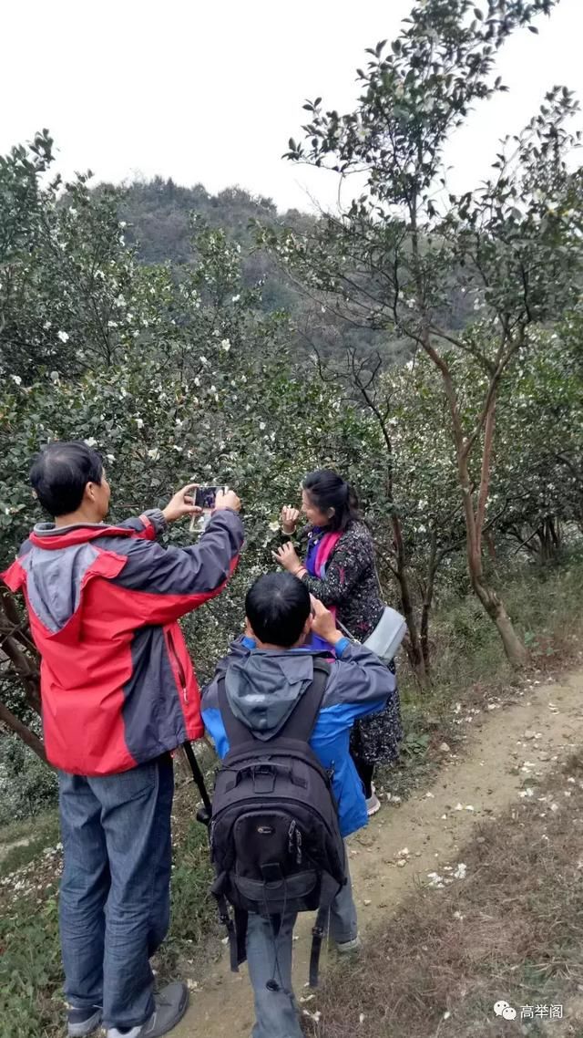 随笔李祖新: 我这么说旅游
